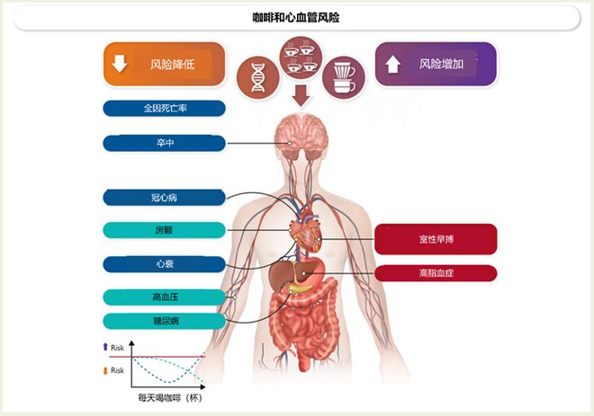 啡与心血管疾病风险（IF=356）不朽情缘模拟器EHJ一文总结：咖(图3)